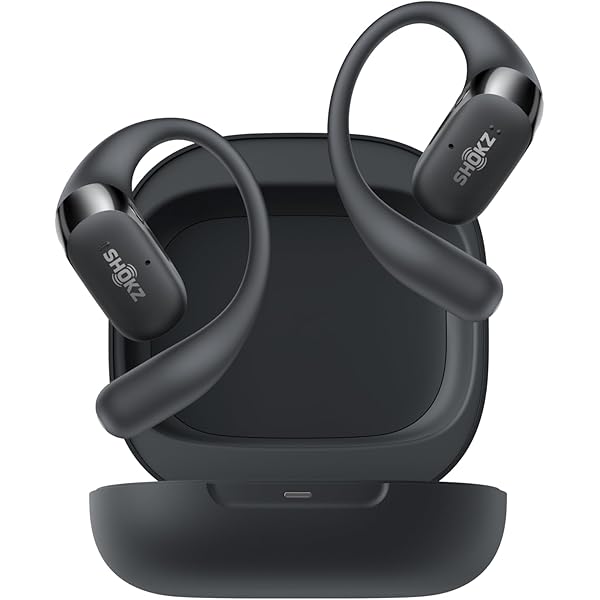 Amazon.com: Beats Powerbeats Pro Wireless Earbuds - Apple H1