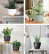 CSYY 7 Pack Self Watering Plant Pots Indoor Outdoor 20.3-12.7cm White view 5