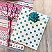 Dr. Seuss Themed Paper Favor Sacks - Red Blue White - Chevron Polka Dot Favor Bags - 5.5 x 7.5 Inches - 48 Pack