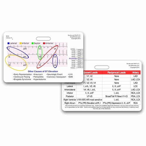 STEMI 12 Lead Tool Horizontal Reference Badge ID Card (1 Card) in ...