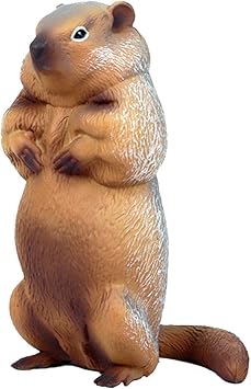 Flormoon Marmotte Figurines Realiste Jouet De Marmotte Figure Animale Jouets Educatifs Precoces Projet Scientifique Cadeau D Anniversaire De Noel Pour Les Enfants Amazon Fr Jeux Et Jouets