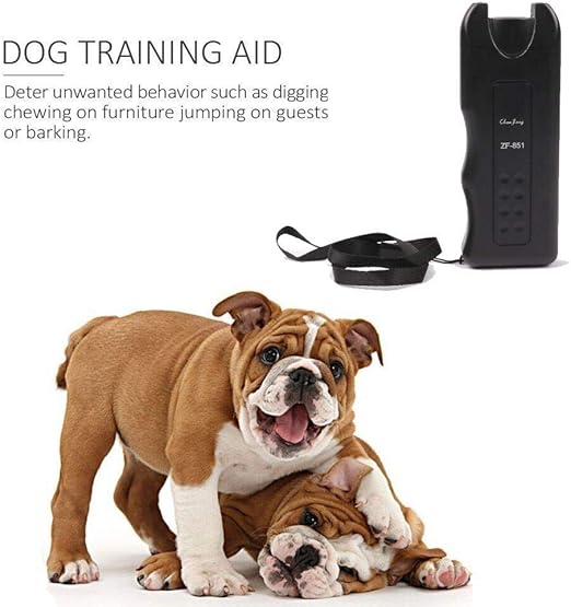 amazon high sided litter box