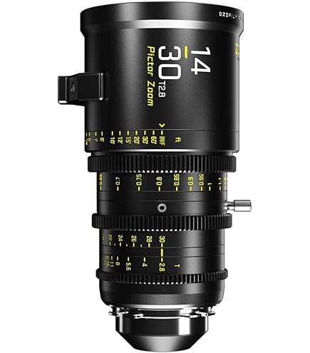Amazon.com : DZOFILM Catta Ace 18-35mm T2.9 Cine Lens for PL Mount