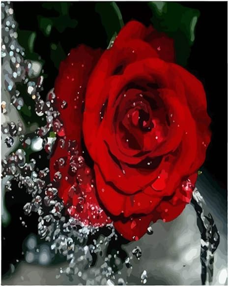 Amazon Com Lanment Painting By Number Drops Of Red Rose Drawing