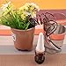 SAFEBAO Self Watering Automatic Watering System Plant Waterer Ceramic Probes Houseplant Spikes – 8 Pcs