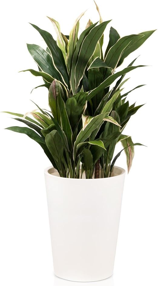 Maceta de plástico TUBO 42, 33x33x42 cm, blanco mate: Amazon.es ...