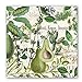 Michel Design Works 20-Count 3-Ply Paper Luncheon Napkins, Avocado