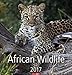 African Wildlife 2017 by 