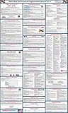 2017 Maryland State and Federal Labor Law Posters - Laminated 24