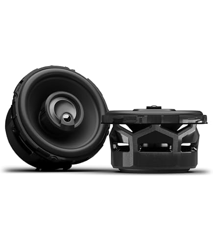 Amazon.com: Rockford Fosgate P1V2-4 Punch P1 4