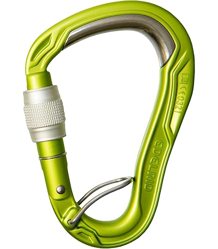 【美品】DIETZ EUREKA ベイル付き　エウレカ　ユーリカ　ユリイカ Effie Calavaza Snake Design Sterling Silver Turquoise Earrings 37543