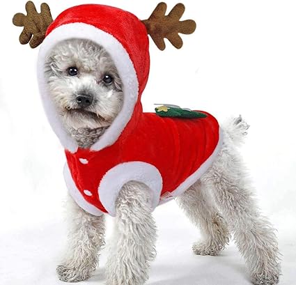 Puppy santa outfit Clearance