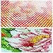 DIY 5D Diamond Painting, Full Drill Embroidery Paint with Diamonds Wall Sticker for Home Wall Decor - Flowers 12 x 16inch