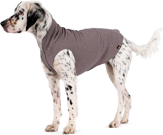 gold paw dog fleece