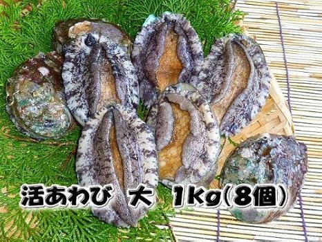 Amazon 活蝦夷あわび 大 1ｋｇ ８個 養殖 まるか水産 鮮魚 通販