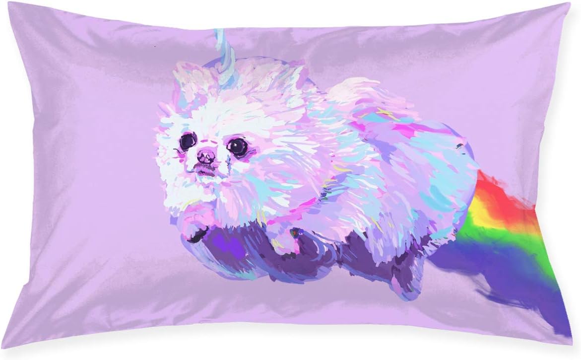 rainbow pomeranian