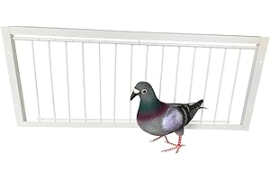 SRRPSPIGEON Pigeon Loft Door Pigeon Entrance Door Trap Door Pigeon House Door Racing Supplies Pet Bird Supply Product Bird cage Door (60cm/24in)