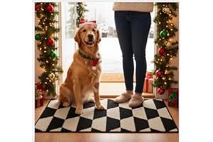 GRANNY SAYS Indoor Doormat, 20" x 32", Non-Slip Front Door Mats, Outdoor Welcome Mat Washable, Low Profile Indoor Door Mats for Entryway, Floor Inside Back Doormats