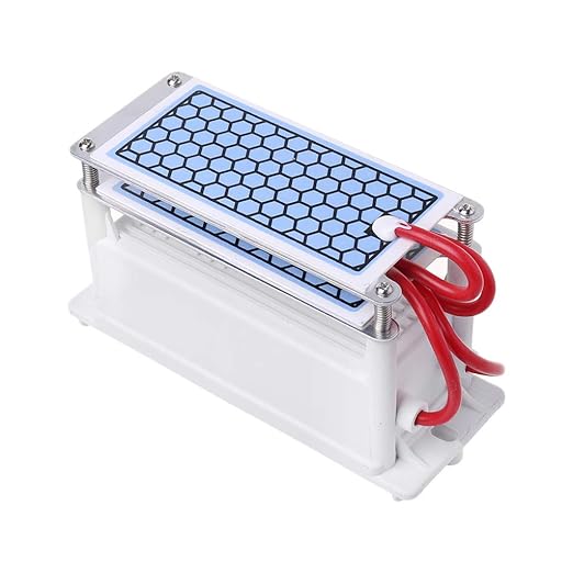 Ycncixwd 220 V 10 g/h placa de cerámica generador de ozono doble ...