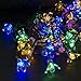NeutralPure ECO Peach Flower Solar Powered String Lights (50 LED); Christmas Party, Outdoor, Patio and Garden Friendly