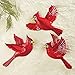 Collections Etc Christmas Cardinal Wall Decor - Set of 3