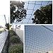Yaheetech 10 x 20Ft Waterproof Baseball Backstop Net, Multi-use Net for Bird Against, Basketball Guard Net, Garden Net, etc 1.8