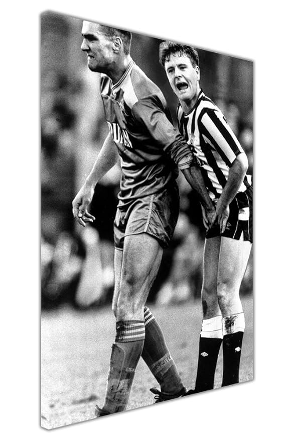 FUNNY CANVAS WALL ART PICTURES VINNIE