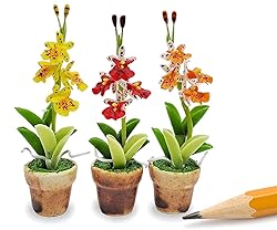 WitnyStore Tiny 2" High 3 Pieces Set Yellow Red