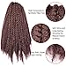 Carina 3 Bundles Afro Kinkys Curly Hair Extensions Long Afro Kinky Marley Twist Braiding Hair For Women And Girl (18 inch, 33#)