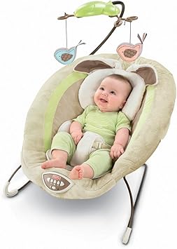 fisher price my little snugabunny bouncer