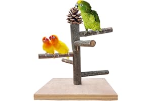 WQY GroceryShop Bird Perch Stand Toy, Bird Perch Platform, Portable Training Parrot Playstand, Bird Cage Toys for Cockatiels Conures Parakeet Finch Lovebirds