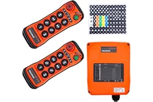 TEELODANE Q800 Industrial Wireless Crane Remote Control kit 8 Button 12v 24v Electric Lift Hoist Overhead Tower Bridge Transmitter Receiver (2 Transmitters + DC12-24V Recevier)
