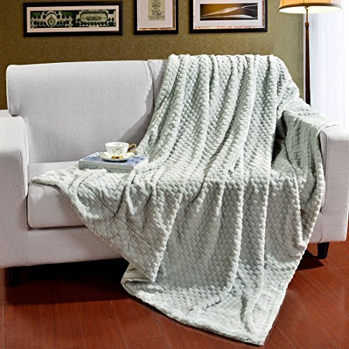 Decosy Fresh Soft Velvet Plush Mint Green Throw Blanket 60"x 70