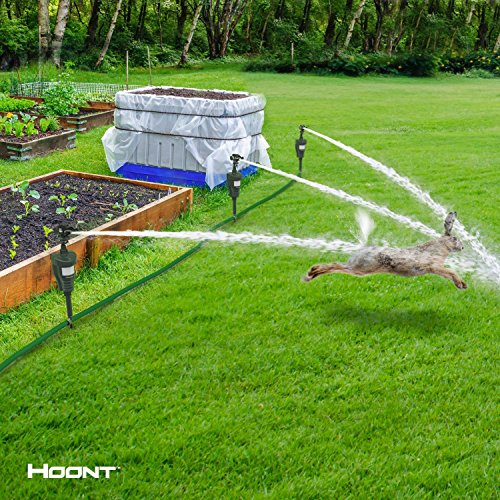 Hoont Cobra Powerful Outdoor Water Jet Blaster Animal Pest Repeller, Motion Activated, Expels Cats, Dogs, Squirrels, Birds, Deer, Etc. Out of Your Property (Upgraded Version)