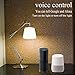 Smart Bulb LED WiFi Smart Switch Compatible with Alexa Google Home Assistant
