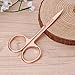 Thobu Stainless Steel Makeup Eyebrow Hair Eyelash Remover Trimmer Scissors Cutter Rose Gold