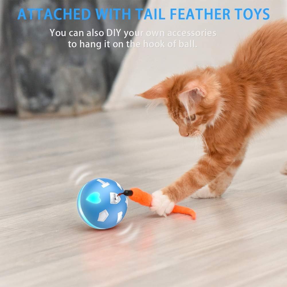 cat toys that move on their own