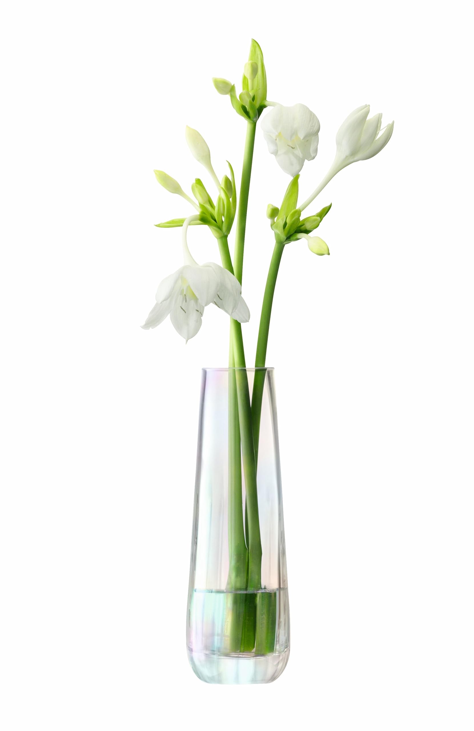 LSA International Pearl Vase H20cm Mother of Pearl| 1 Unit | Mouthblown & Handmade Glass | Hand Painted | PE21