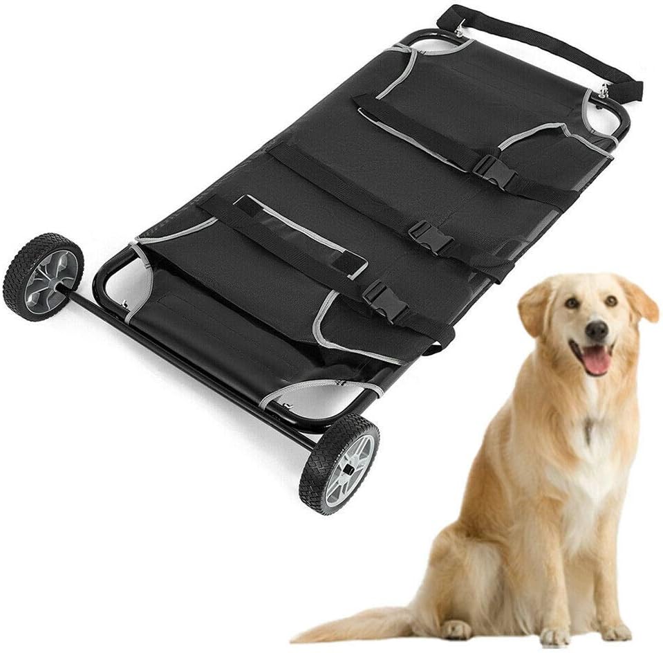 good dog food for dogs