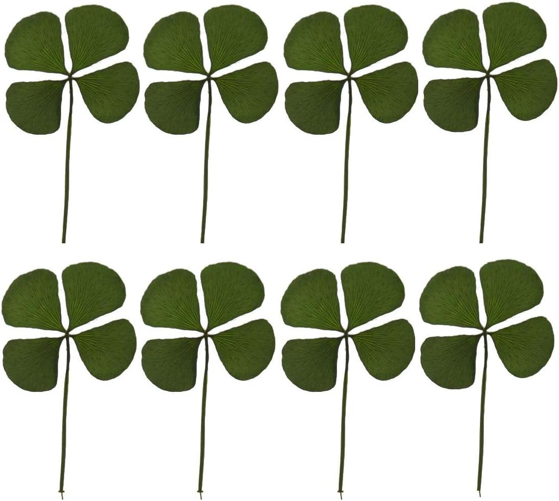 36 Pcs Natural Real Pressed Dried Flowers Four-Leaf Clover Leaf Plant for DIY Resin Jewelry Art Craft