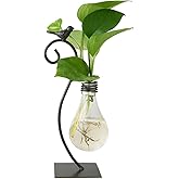 Marbrasse Desktop Glass Planter Hydroponics Vase,Planter Bulb Vase with Holder for Home Decoration,Modern Creative Bird Plant Terrarium Stand, Scindapsus Container (Bulb Vase)