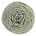 Red Heart Super Saver Jumbo Yarn, Frosty Green