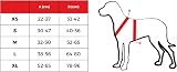 Truelove TLH5651 Dog Harness No-pull Reflective Stitching Brown M view 5