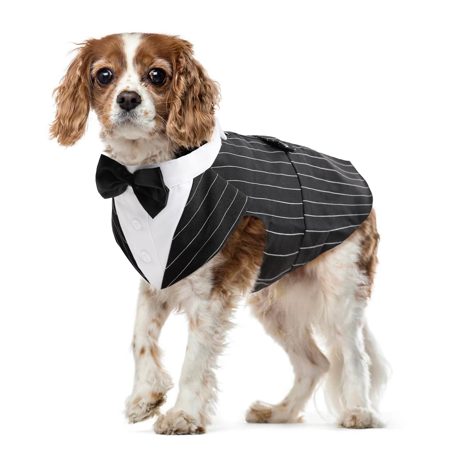 Formal Tuxedo for Dogs, Set Costume and Bandana for Wedding Shirt with Bow Tie Clothes for Dogs Elegant Apparel Tuxedo for Wedding Party Festival Halloween Christmas (Striped Black, M)