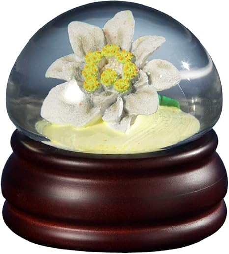 Amazon Com Edelweiss Mushroom Flower Water Globe Home Kitchen
