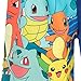 Pokemon Boys' Pokemon Swim Shorts 6