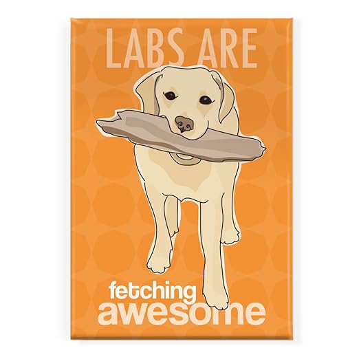 Pop Doggie Labs Son Fetching Impresionante Amarillo Lab Labrador ...