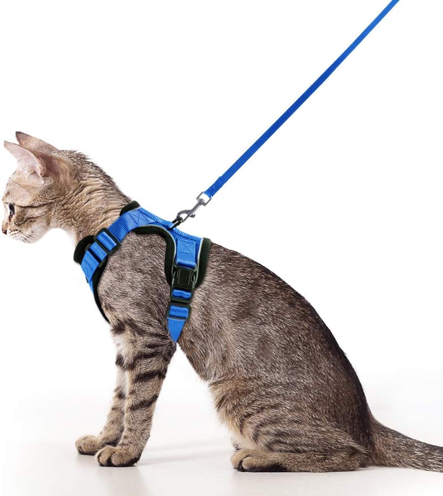 rabbitgoo Cat Harness and Leash for Walking, Escape Proof Soft