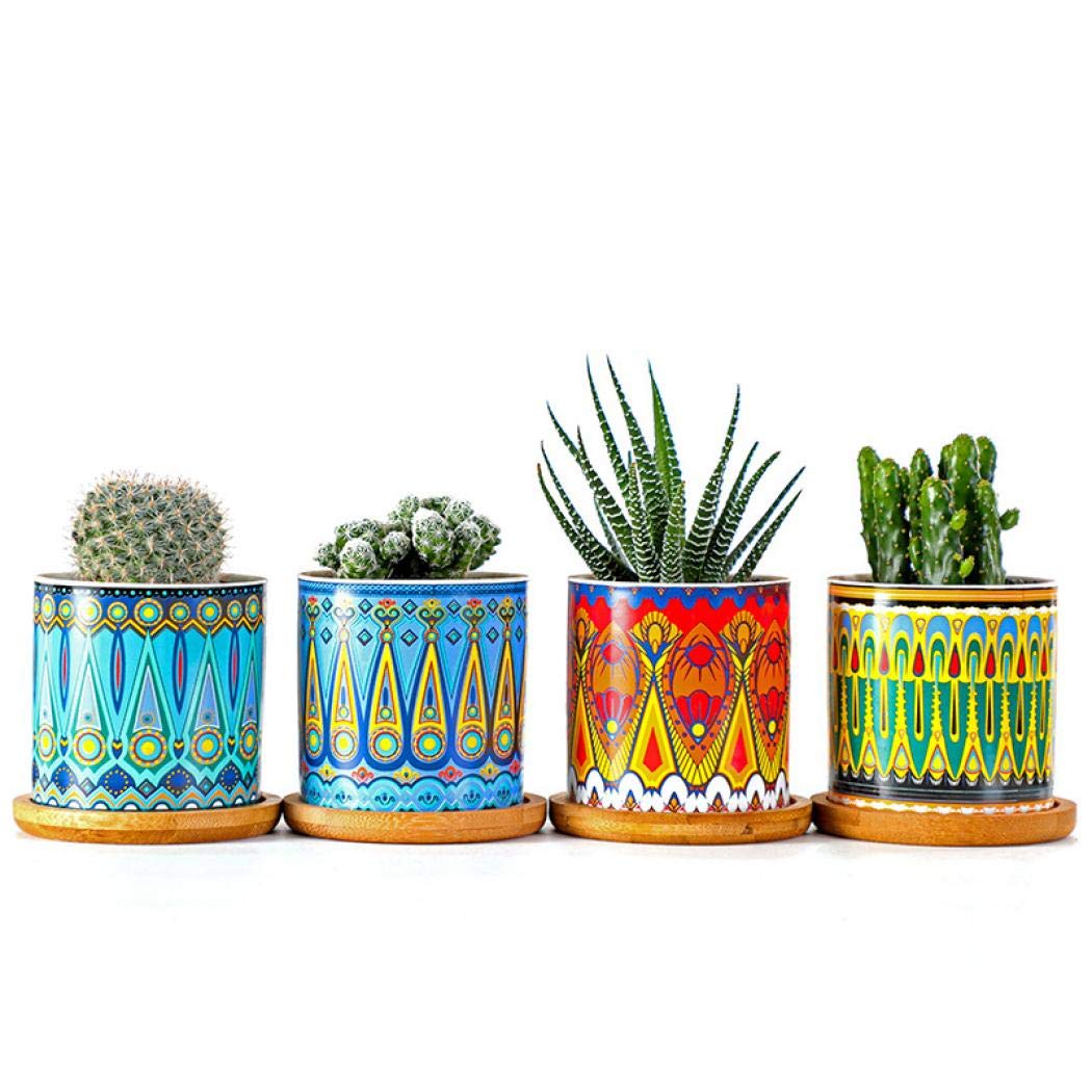 XUDREZ 7.5cm Plant Pots- Ceramic Pots, Set of 4 Succulent Plant Pots, Mini Flower Pots with Bamboo Tray Decor for Home and Office