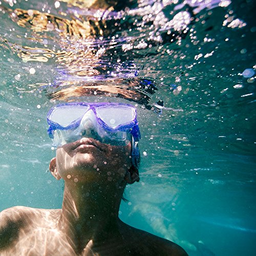 Speedo Junior Recreation Dive Mask Buy Online in UAE. Sports